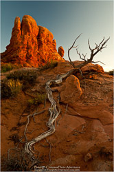 Prints - Landscapes