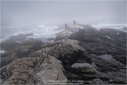 Prints - Seascapes & Coastal
