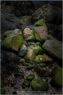 Monhegan Island, Artists' Paradise