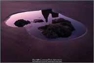 Along the Oregon Coast