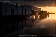 Springtime on the Outer Banks