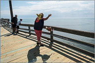 Springtime on the Outer Banks
