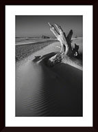 Print Pricing Gallery